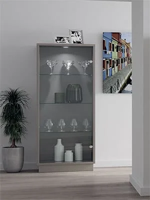 ויטרינה דגם 3053