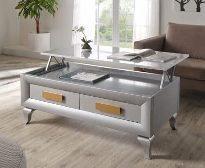 Mod-2010-pata-oro-detalle