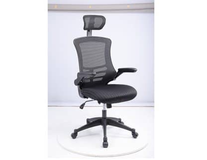 כסא מחשב ארגונומי 250PROBACK