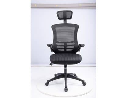 כסא מחשב ארגונומי 250PROBACK