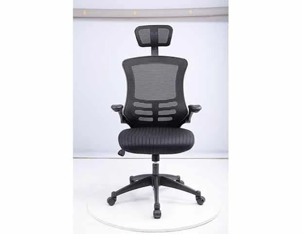 כסא מחשב ארגונומי 250PROBACK